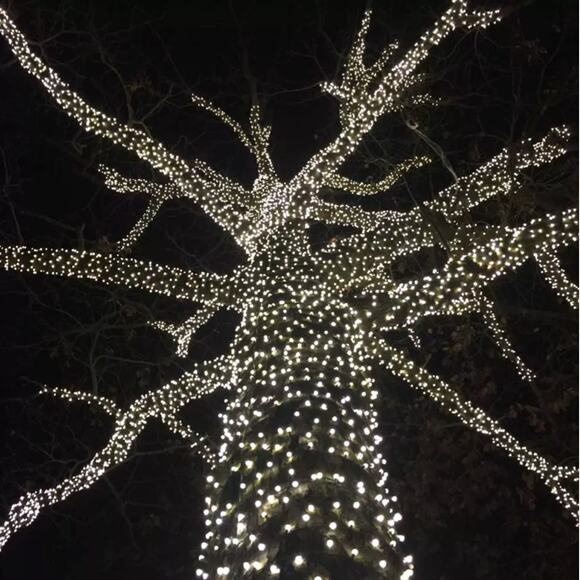 LED Christmas String Lights 70 Mini Bulbs 35ft Green Wire Indoor Outdoor Holiday - Picture 3 of 7